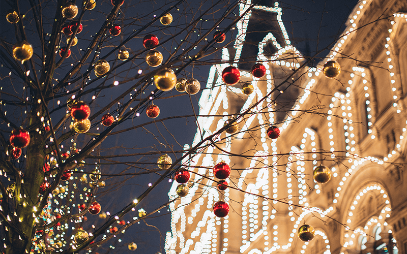 Christmas LED Lighting on Pathways, Roof Lines, Windows, Doors, Tree Trunks, and Second-Story Lighting