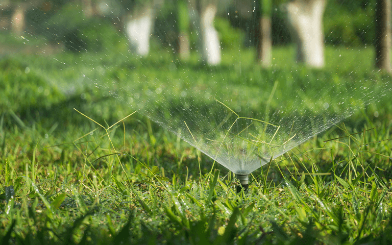 Sprinkler Installation, Sprinkler Repairs, & Drip Irrigation
