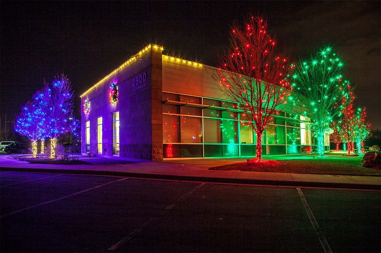 Christmas lights installed near me