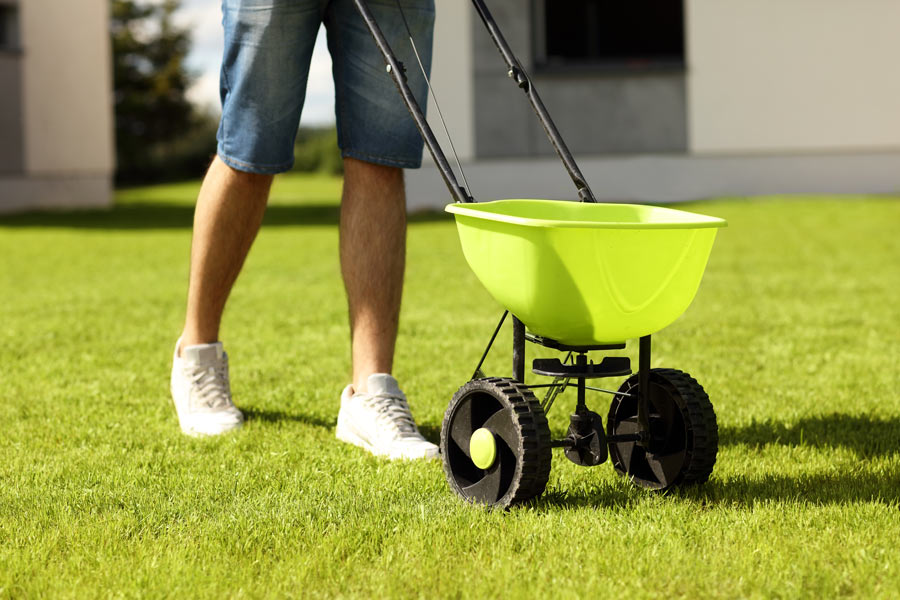 landscaping, landscaping company, gardening service