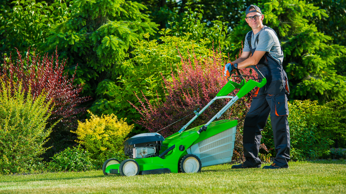 Cutting grass in online spring