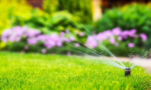landscaping, landscaping company, gardening service