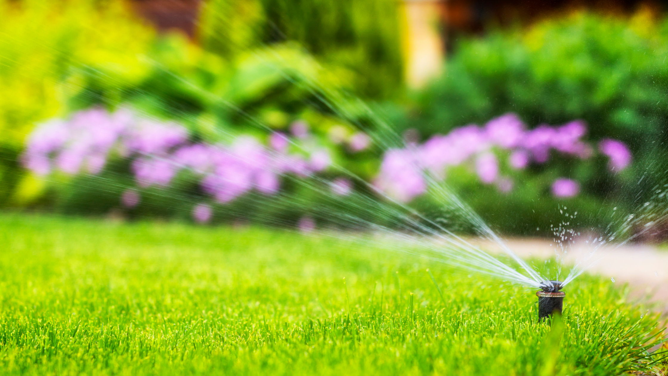 landscaping, landscaping company, gardening service