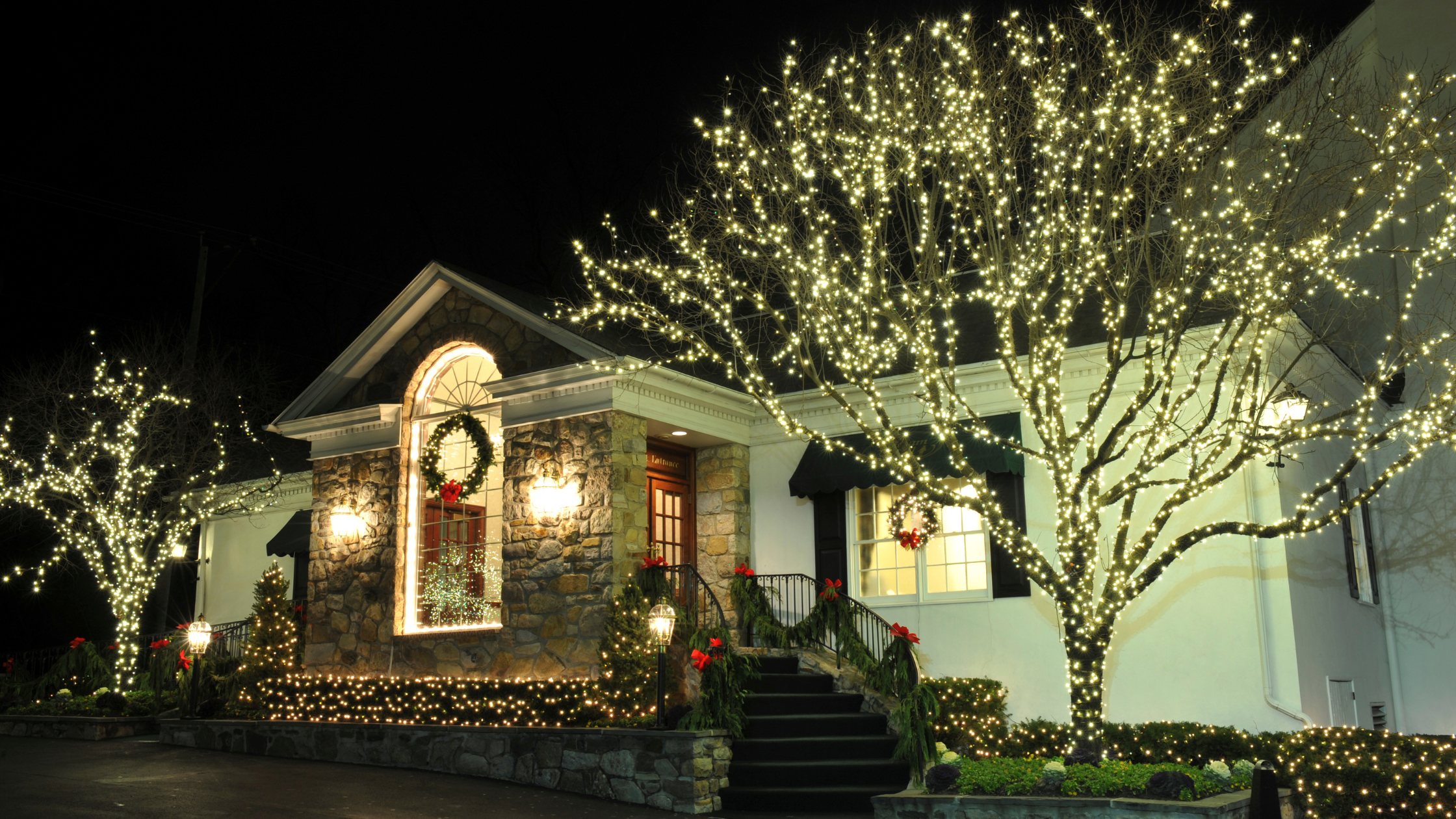 Holiday Lights, Christmas lights, decoration