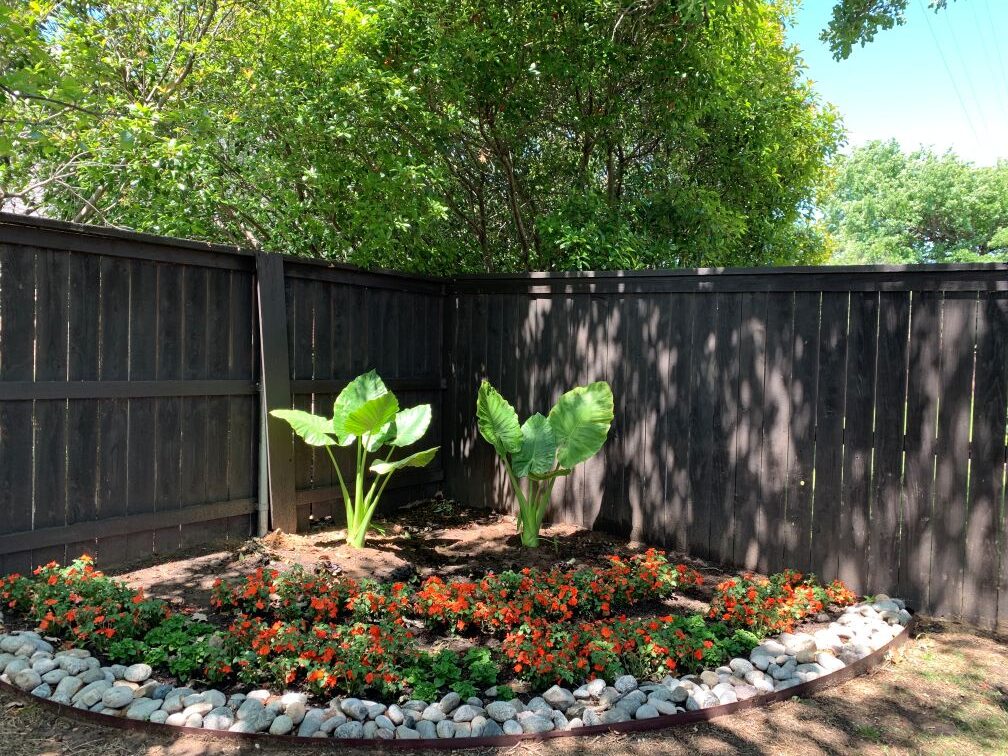 PlantsWithBedding