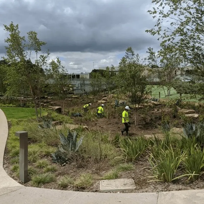 streamline-team streamline designs Landscape maintenance